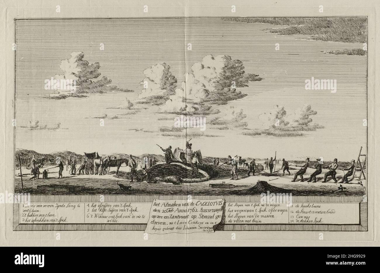 Slachten van de walvis Strand tussen Zandvoort en Wijk aan Zee, 1762. Stockfoto