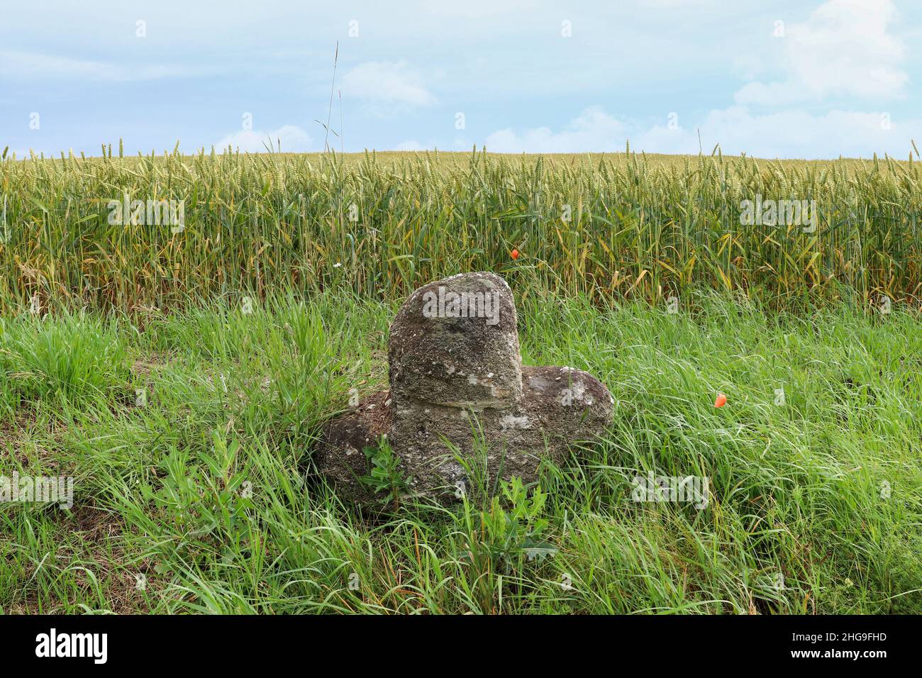 Vermittlungskreuz - altes Steinkreuz am Feld, Dorf Lhotka, Tschechische Republik Stockfoto