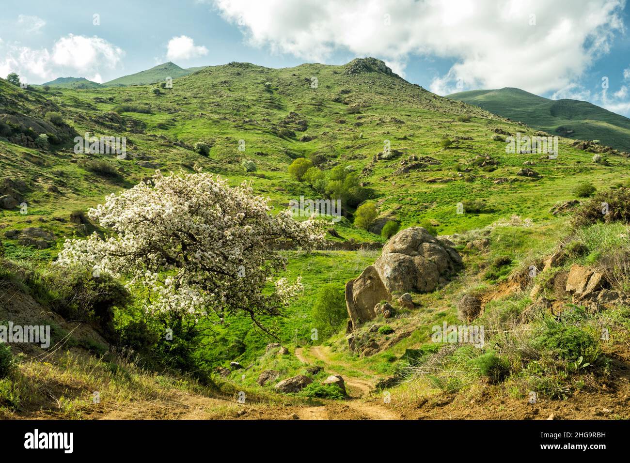Eine wunderschöne Berglandschaft. Eine herrliche Aussicht auf den Frühling. Zangezur Mountains. Armenien. Stockfoto