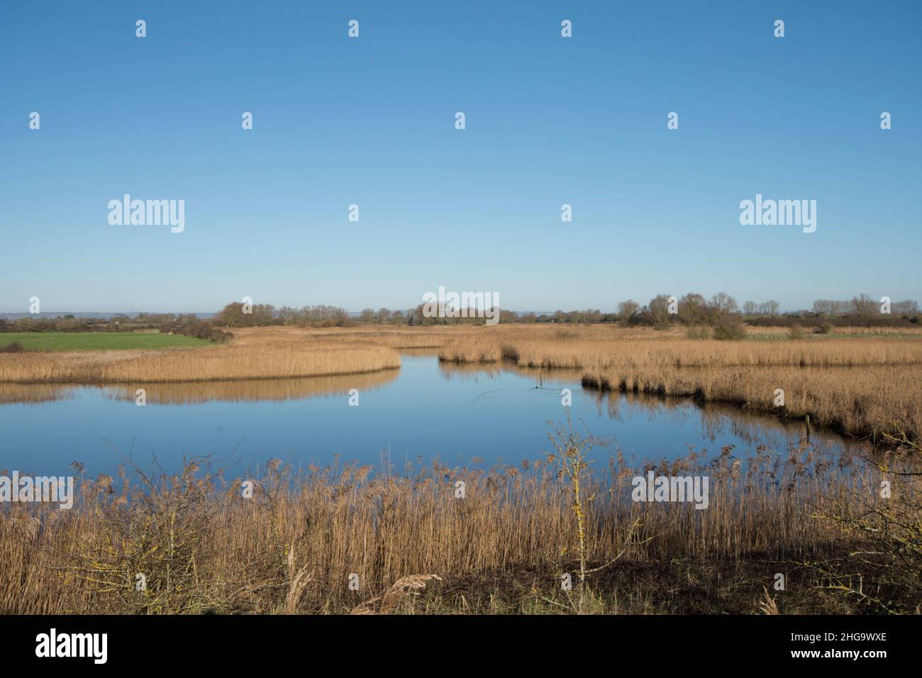 Breach Pool neben der Nordwand oder Pagham Wall an der Grenze zum Pagham Harbour Nature Reserve, Sussex, Großbritannien, Januar, Winter Stockfoto