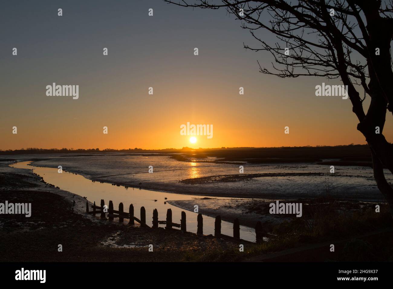 Sonnenuntergang, Dämmerung, über Pagham Harbour von der Nordwand aus gesehen, Gezeiten, Winter, Landschaft mit Silhouette von Bäumen und Pfosten, Sussex, Großbritannien Stockfoto