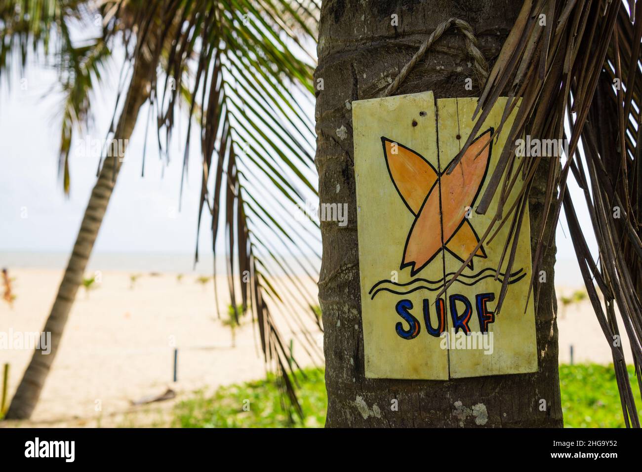 Gelbes handbemaltes Holzschild mit dem Wort Surf und zwei orangefarbenen Surfbrettern am Guaratiba Beach, Prado, Bahia, Brasilien. Stockfoto