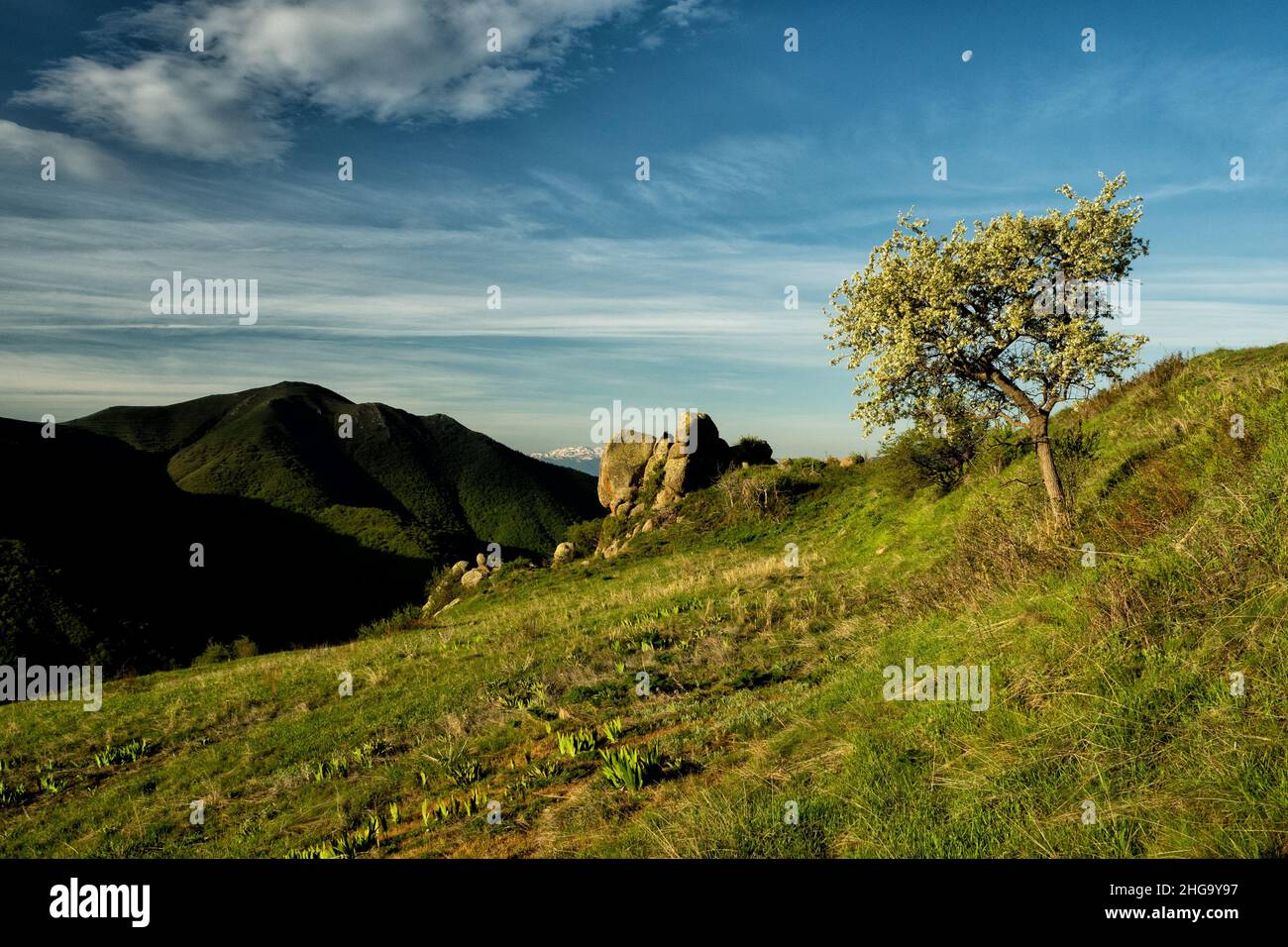 Eine wunderschöne Berglandschaft. Eine herrliche Aussicht auf den Frühling. Zangezur Mountains. Armenien. Stockfoto