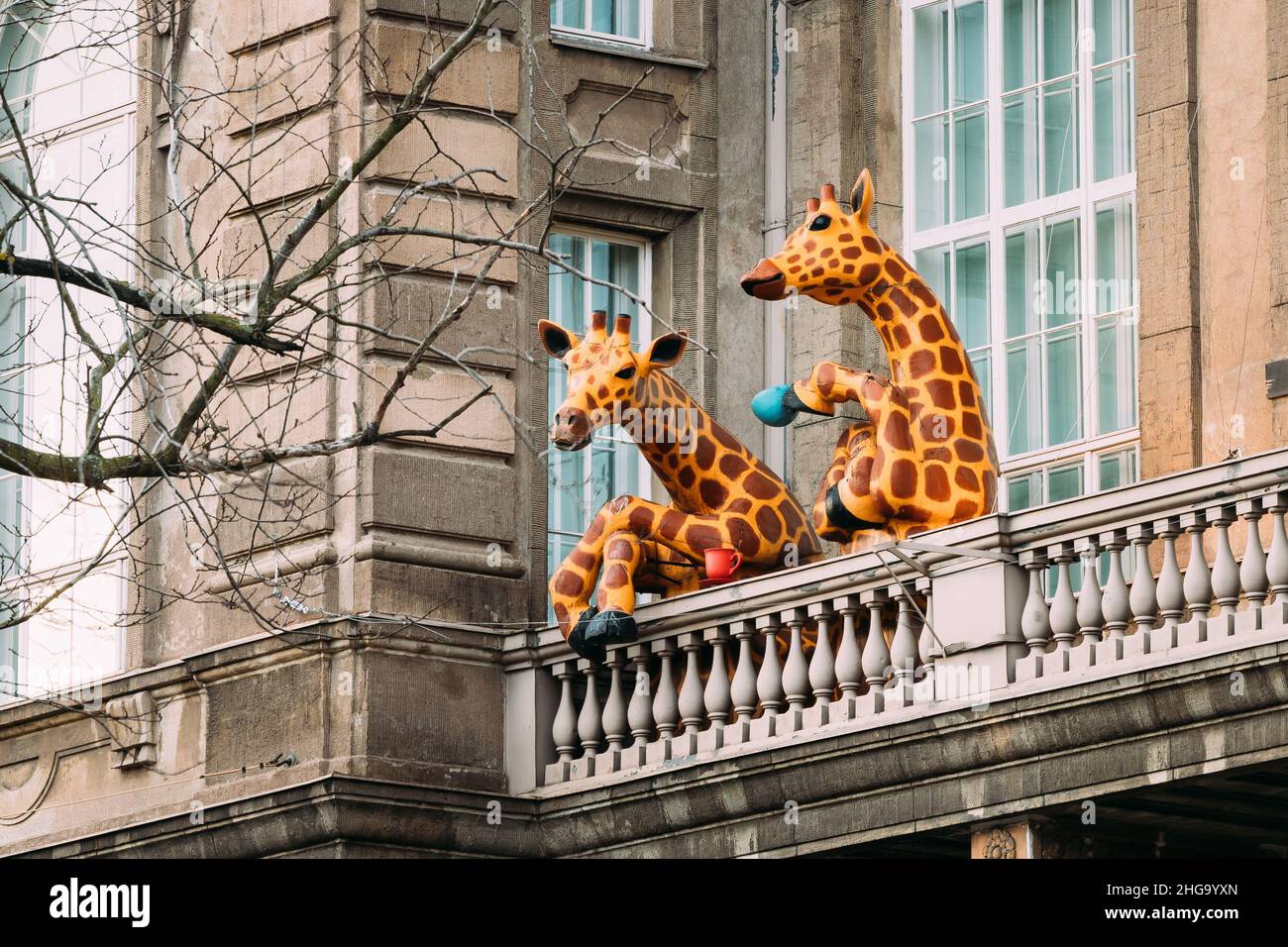 Helsinki, Finnland. Amüsante Installation Als Giraffe Teetrinken Auf Dem Balkon Des Naturhistorischen Museums Von Helsinki Stockfoto
