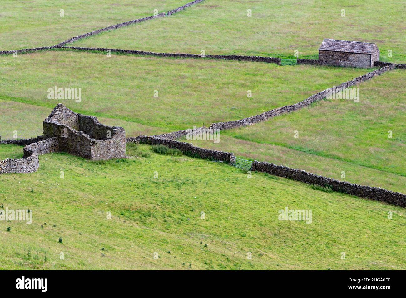 Trockenmauern, Steinscheunen und grüne Felder in den Yorkshire Dales, England, Großbritannien Stockfoto