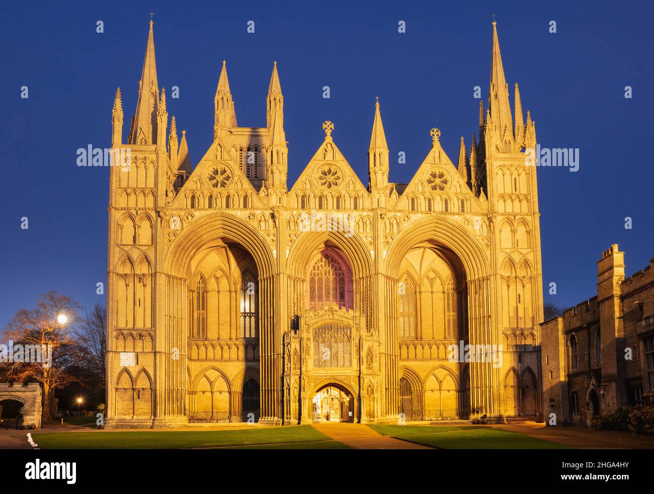 Peterborough Cathedral Peterborough Cathedral gotische Fassade bei Nacht Peterborough Cambridgeshire England GB Europa Stockfoto