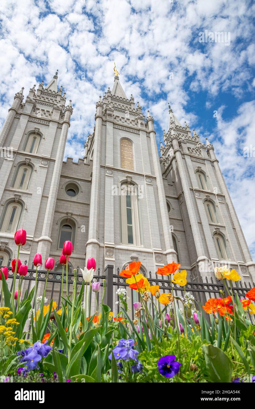 Die Salt Lake City LDS Temple-Fassade im Frühling mit Tulpen und einem wunderschönen blauen Himmel, der von Wolken überzogen ist. Architekt: Henry Grow Truman O. Angell. Stockfoto