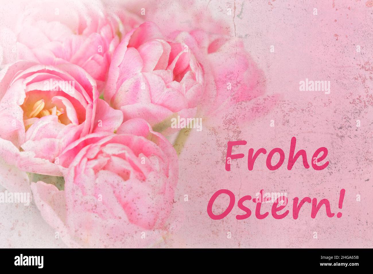 Rosa Tulpenblumen mit Text: Frohe Ostern in deutscher Sprache, verzweifelter Grunge-Effekt, nostalgische Grußkarten-Vorlage. Stockfoto