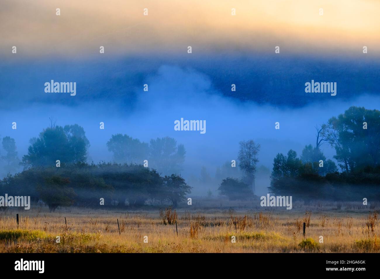 Landschaftlich schöner Blick auf die neblige Talwiese mit Bäumen und Morgensonne Stockfoto