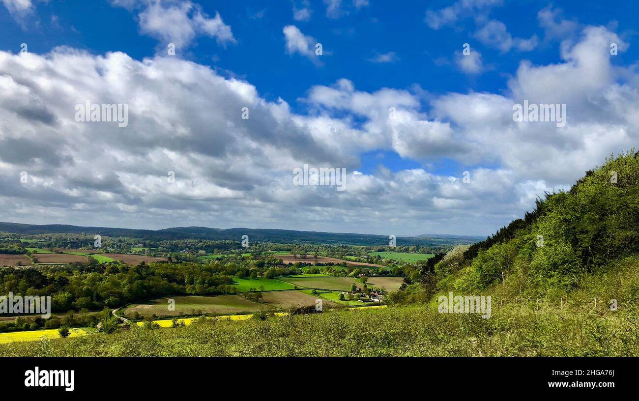 Blick auf die Landschaft - Surrey, Großbritannien Stockfoto