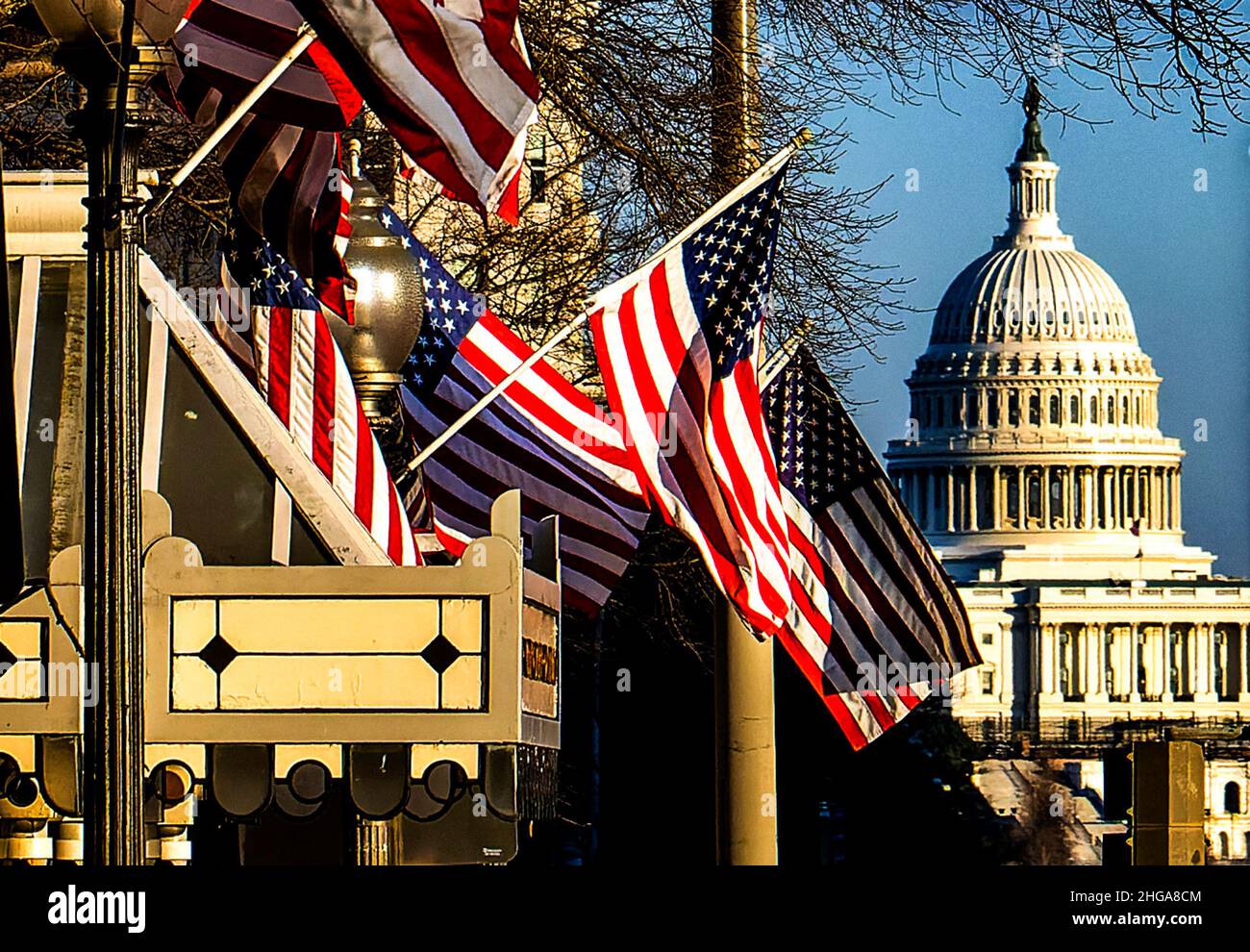 Amerikanische Flaggen vor dem US-Kapitolgebäude in Washington DC. Stockfoto