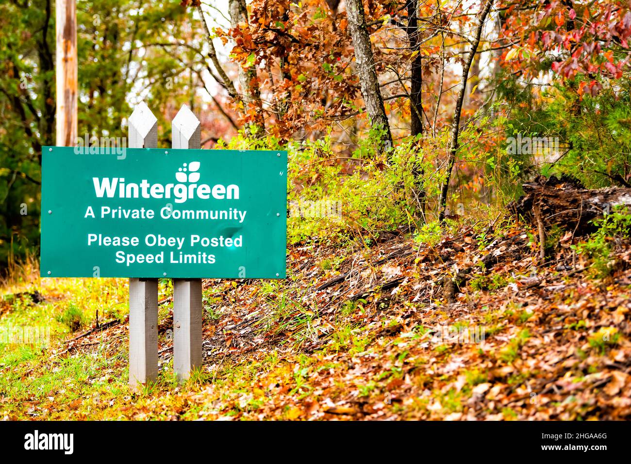 Wintergreen, USA - 25. Oktober 2020: Herbstfärbung der Blätter im Dorf des Skigebiets in den Blue Ridge Bergen mit Logo am entran Stockfoto