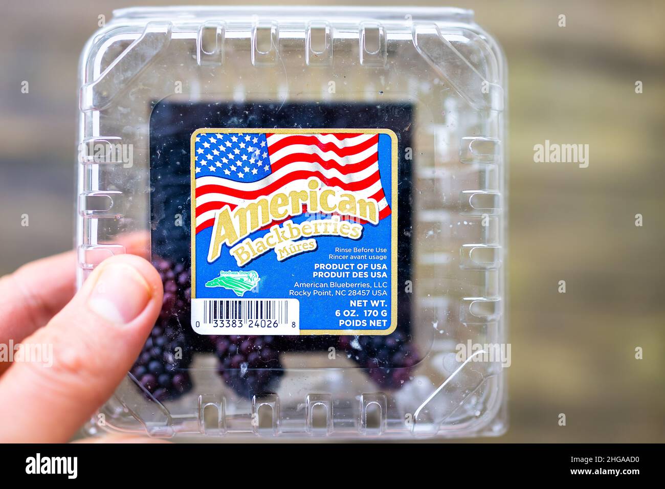 Banner Elk, USA - 12. Juni 2021: Handlager gekauft kleinen Brombeeren Beeren schwarzen Beeren Kunststoff-Container mit Schild-Etikett für Amerikaner angebaut und Stockfoto