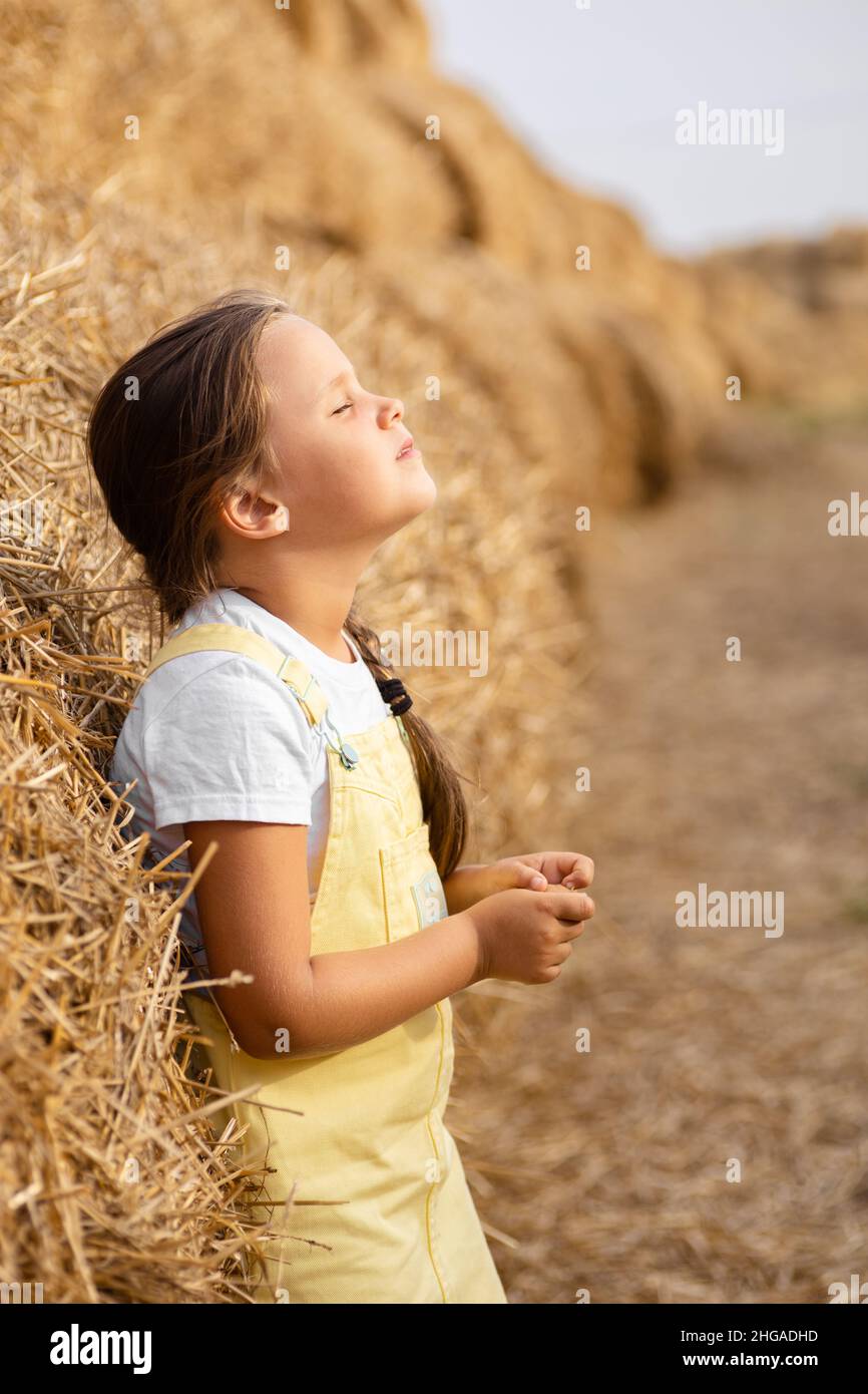 Junges Mädchen, das auf dem Heuhaufen steht und sich auf dem Feld voller Heu stützt, mit Zopf auf der Schulter, etwas mit Händen mit geschlossenen Augen und Kopf nach oben zu tun Stockfoto