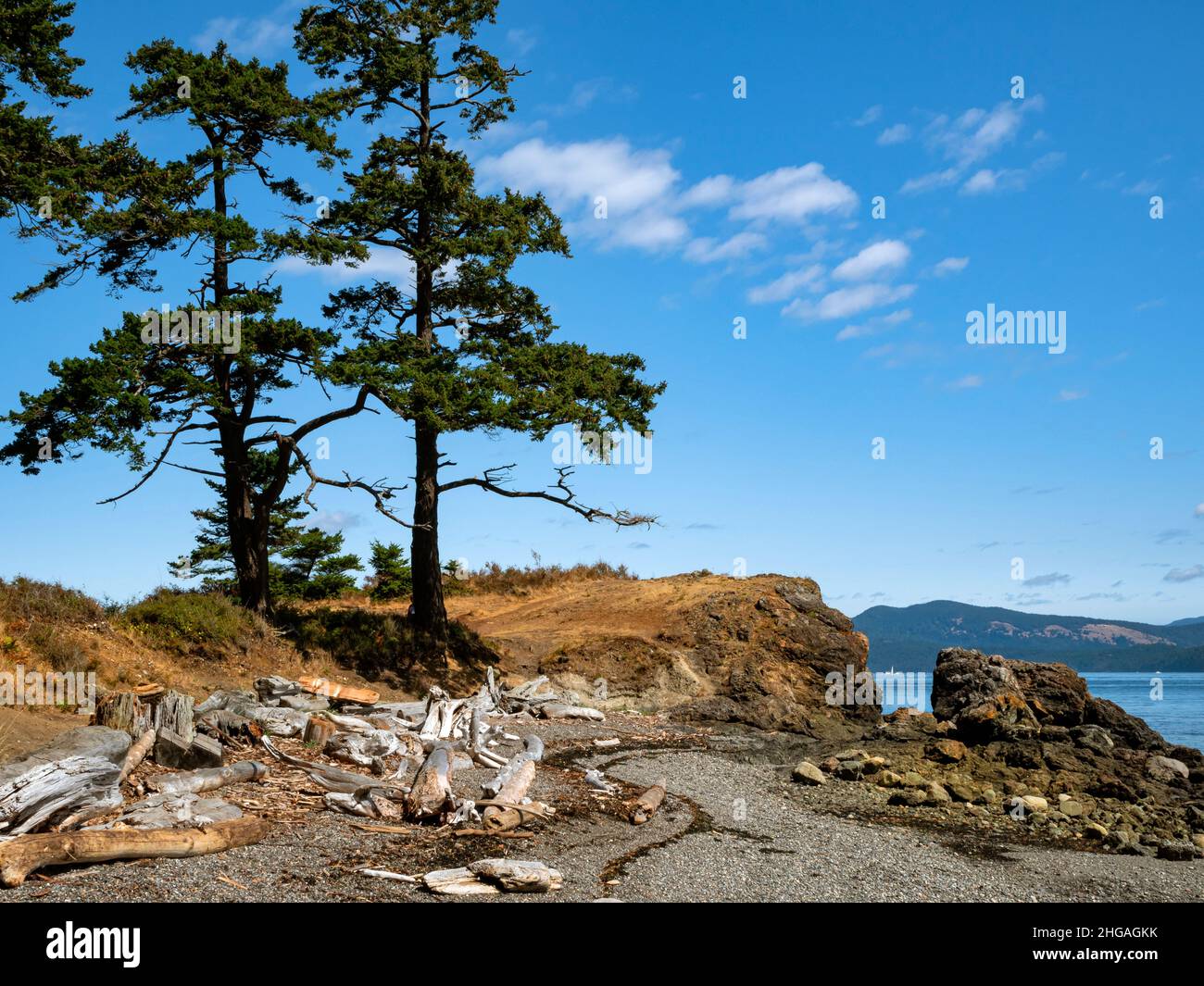 WA21141-00...WASHINGTON - Bäume auf einer felsigen Landzunge im Reuben Tarte County Park am San Juan Channel entlang der nordöstlichen Seite der Insel San Juan. Stockfoto