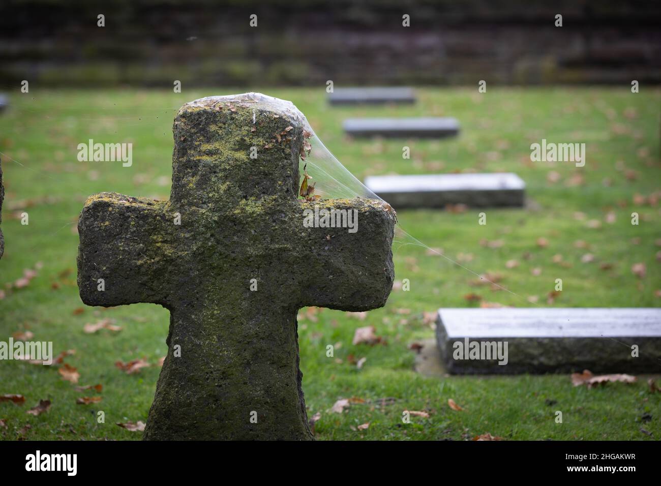 Spinnweben liegen auf steinernen Kreuzen auf dem deutschen Militärfriedhof Langemarck in Langemark-Poelkapelle in Flandern, Belgien. Stockfoto