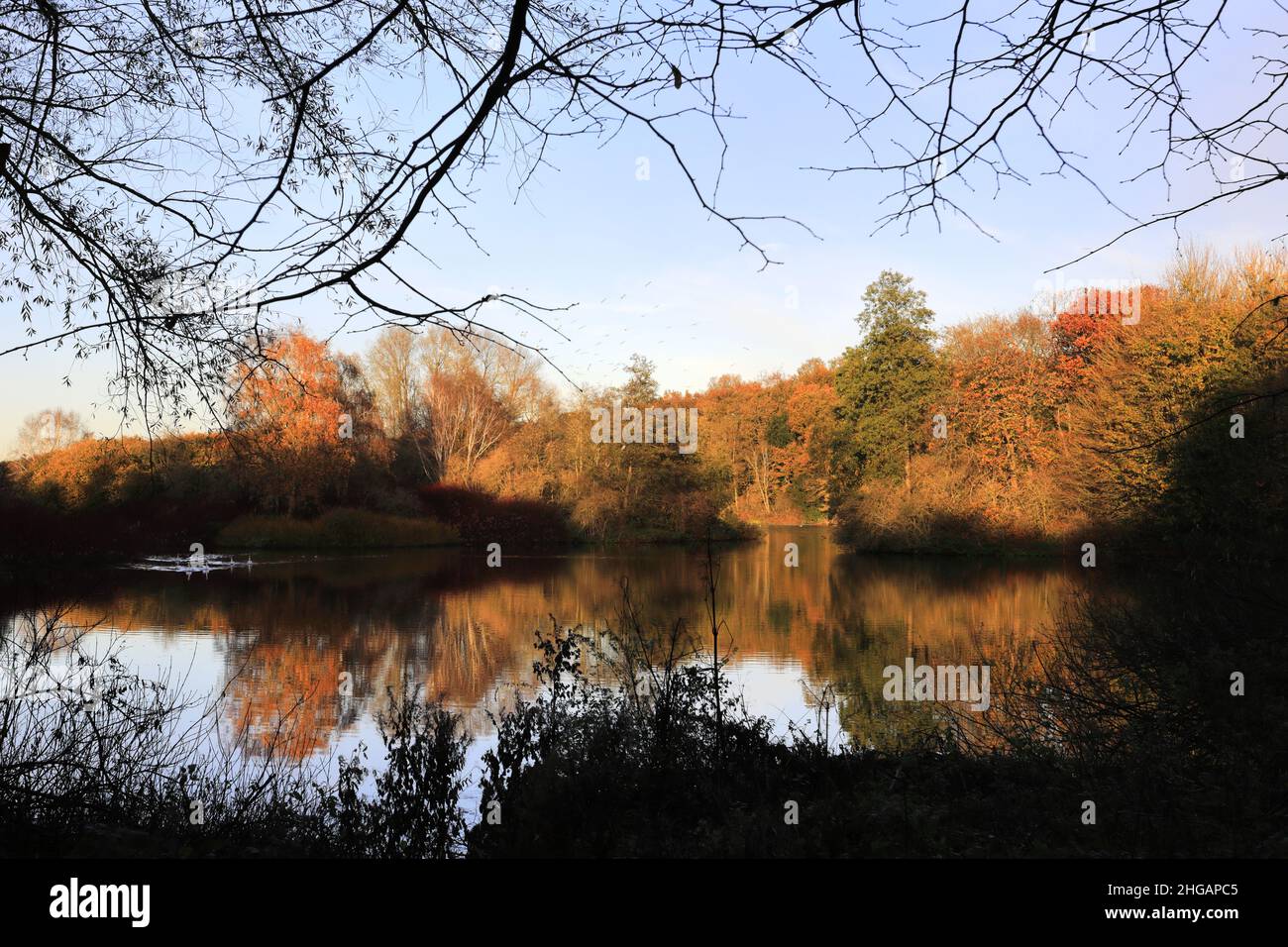 Herbstansicht des Sees bei Rufford Abbey in der Nähe von Ollerton Stadt, Nottinghamshire, England, Großbritannien Stockfoto