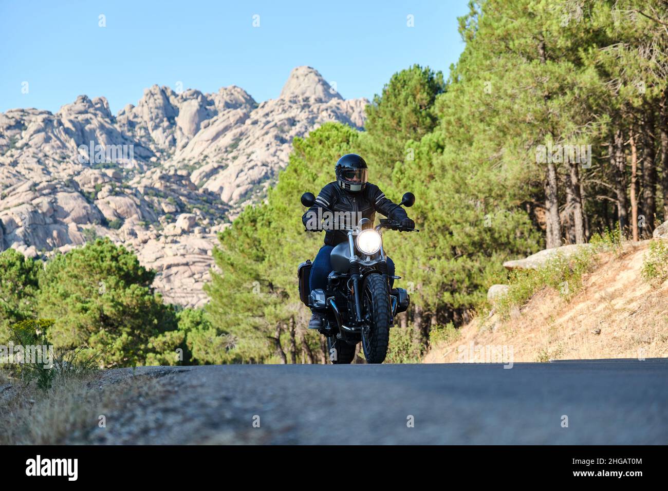 Biker in Lederjacke und schwarzem Helm fahren Motorrad auf hügeliger Straße zwischen hohen grünen Bäumen. Stockfoto