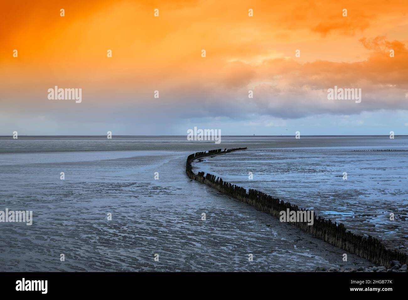 Schöne Aussicht auf das Meer und Wellenbrecher bei Ebbe in Wierum in den Niederlanden. Der Hintergrund ist ein blauer Himmel mit dramatischen Wolken. Stockfoto