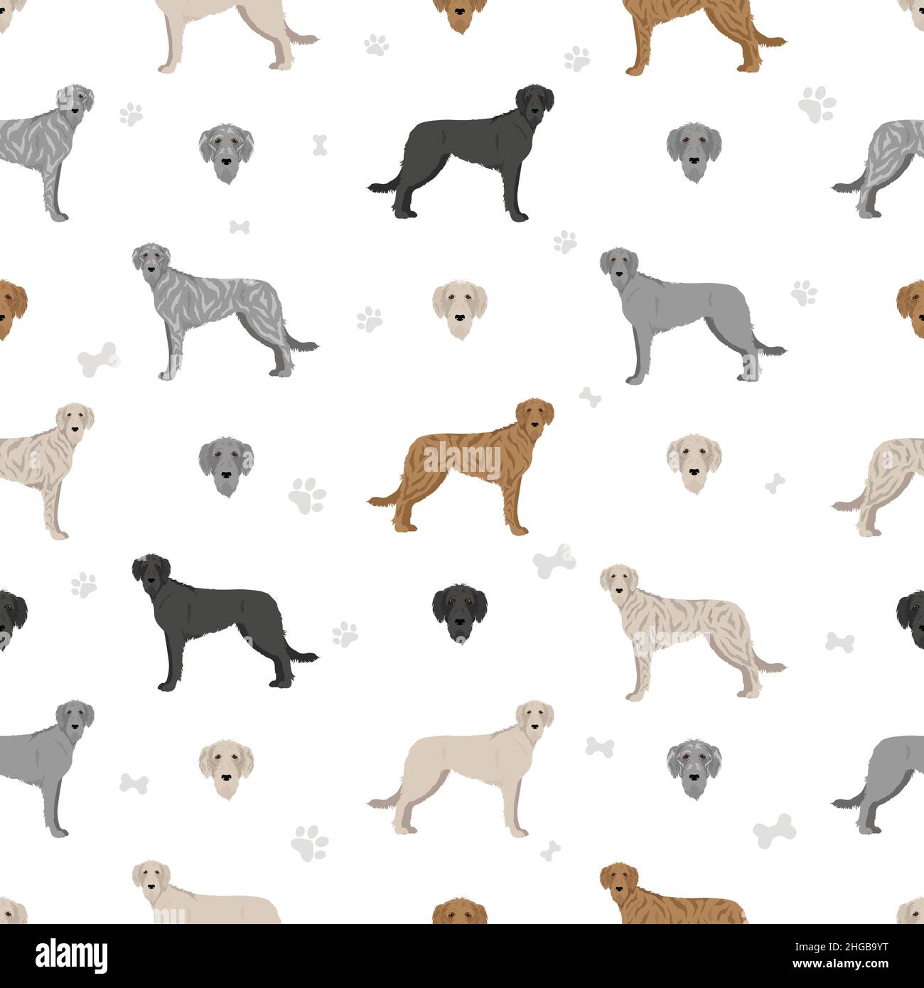 Irish Wolfhound nahtloses Muster. Verschiedene Posen, Fellfarben eingestellt. Vektorgrafik Stock Vektor
