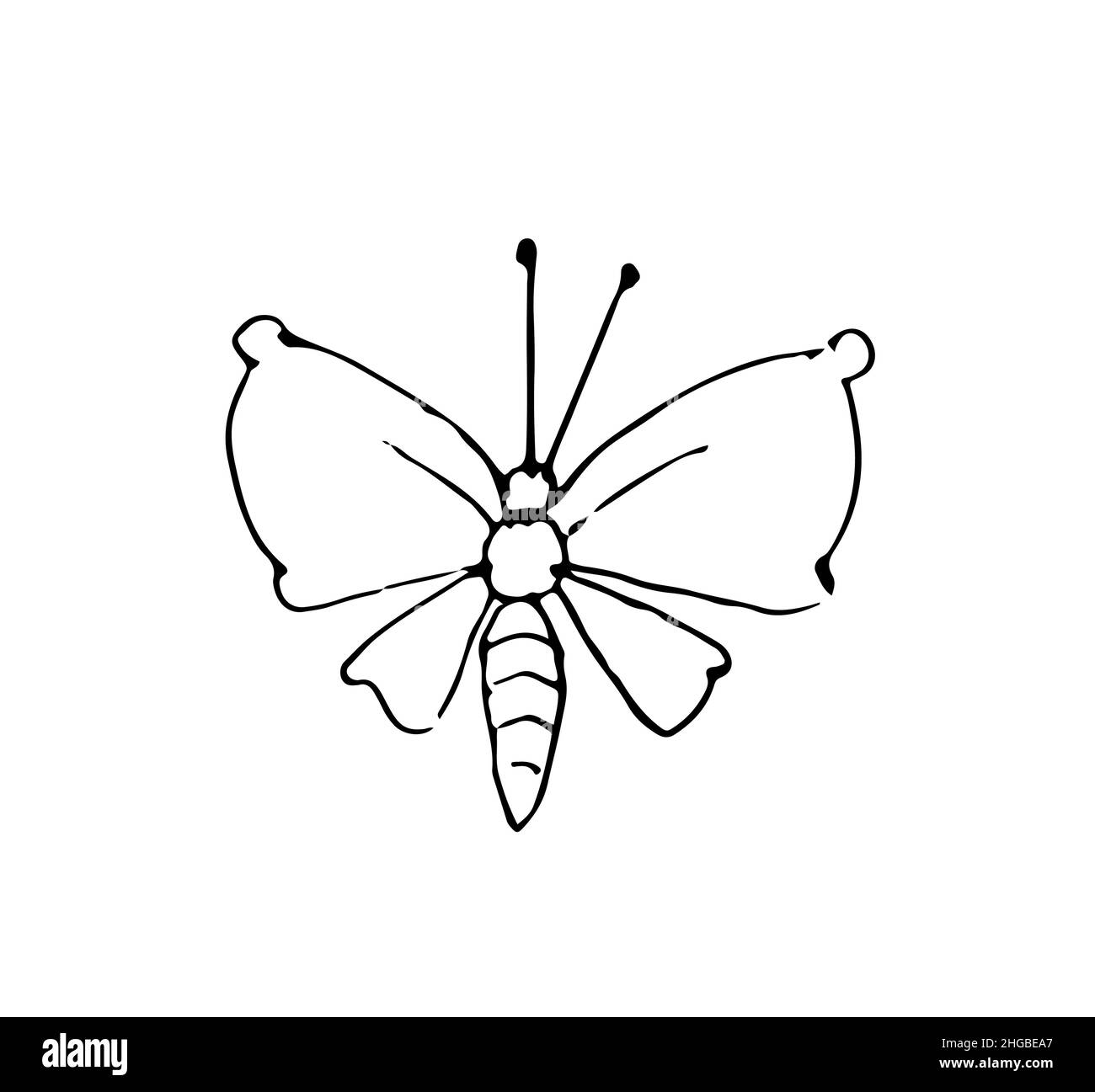 Schmetterling. Skizze umreißen. Witziges komisches Insekt. Die Handzeichnung ist auf einem weißen Hintergrund isoliert. Vektor Stock Vektor