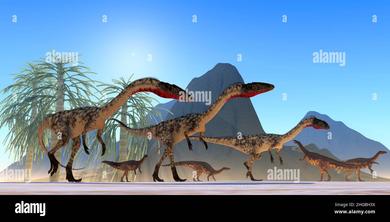 Eine pflanzenfressende Plateosaurus-Herde beobachtet während der Trias ein Jagdpaket fleischfressender Coelophysis-Dinosaurier. Stockfoto
