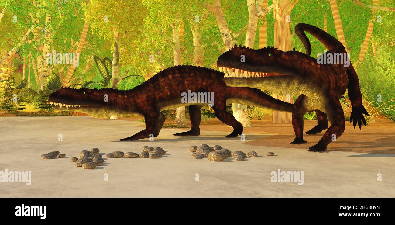 Prestosuchus war ein Archosaurier-Räuber, ähnlich wie das Krokodil von heute. Es lebte während der Trias von Brasilien. Stockfoto
