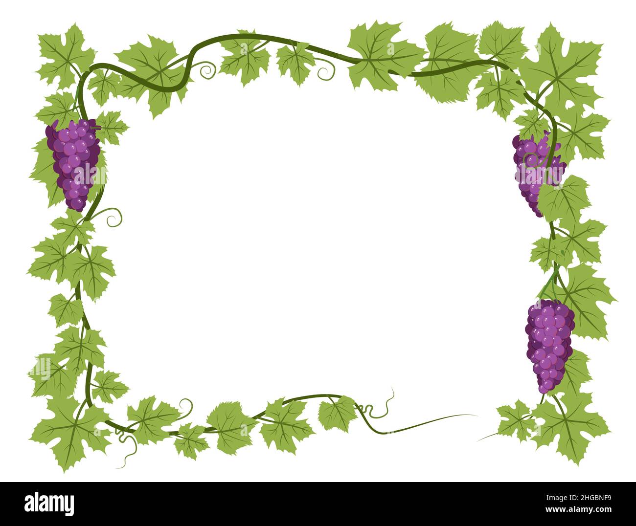 Rechteckiger Rahmen. Weinrebe mit Laub und Trauben. Weinbau und Landwirtschaft. Zweige mit Beeren auf einem dichten Busch. Junger Weinberg. Süß Stock Vektor