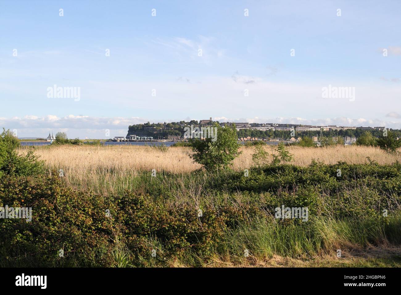 Cardiff Bay Feuchtgebiete Naturschutzgebiet, Wales Großbritannien, Biodiversitäts-Hotspot, zurückgewonnenes Land Stockfoto