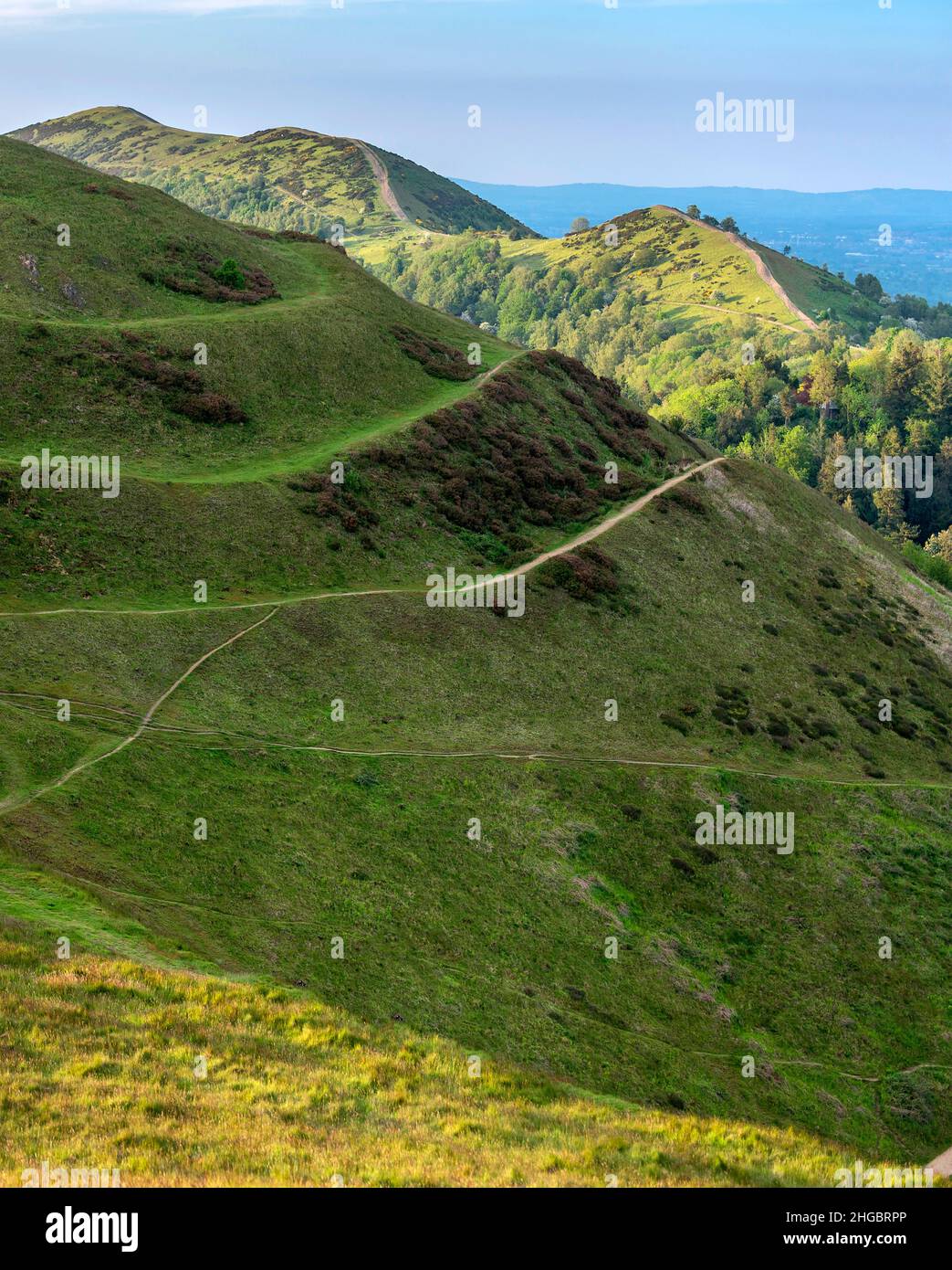 Niedrig angewinkelte Sommermorgensonne, die den Gipfel und die Wege der Malvern Hills beschneiden, strukturierte üppige, grüne, grasbedeckte Hänge und detaillierte Grate, Stockfoto