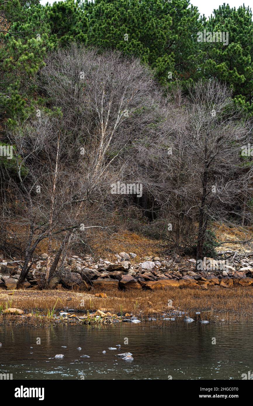 Am Ufer des Flusses Neuse in Raleigh, NC Stockfoto