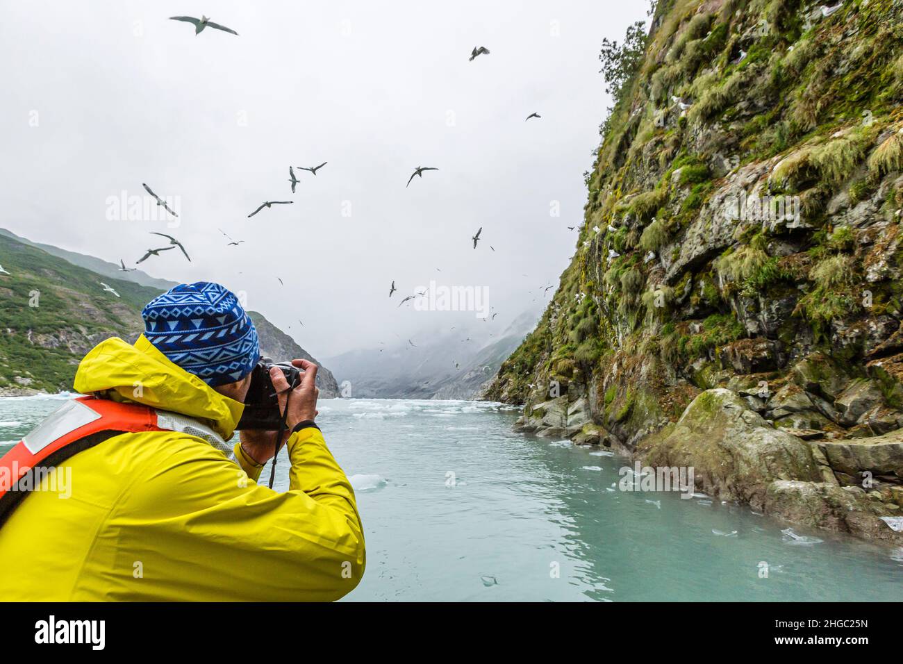 East Arm, Glacier Bay National Park, Southeast Alaska, USA. Stockfoto