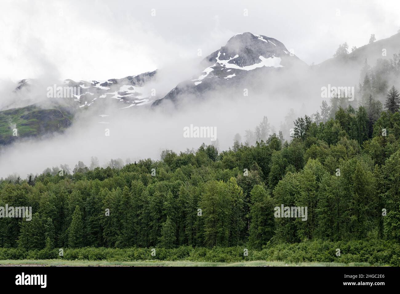 Nebel und Nebel im Wald im östlichen Arm des Glacier Bay National Park, Southeast Alaska, USA. Stockfoto