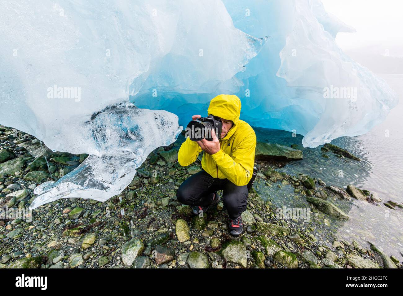 East Arm, Glacier Bay National Park, Southeast Alaska, USA. Copyright 2016 Michael S. Nolan. Alle Rechte weltweit vorbehalten. Stockfoto