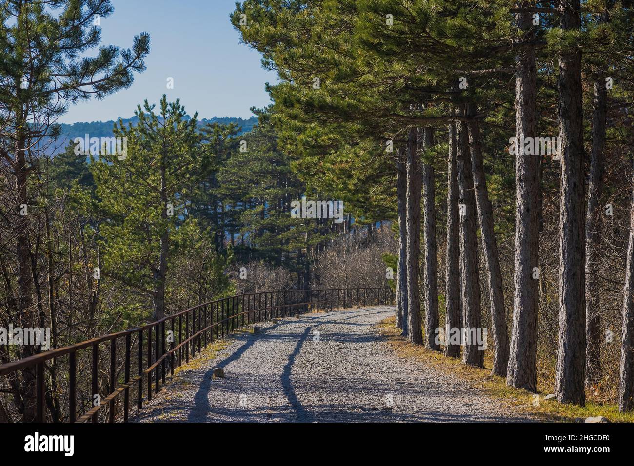 Blick von der ehemaligen Bahnstrecke zwischen Triest und Kozina, über das Tal von Glinscica oder Rosandra an einem sonnigen Wintertag. Blick auf Pfad und Bäume Stockfoto