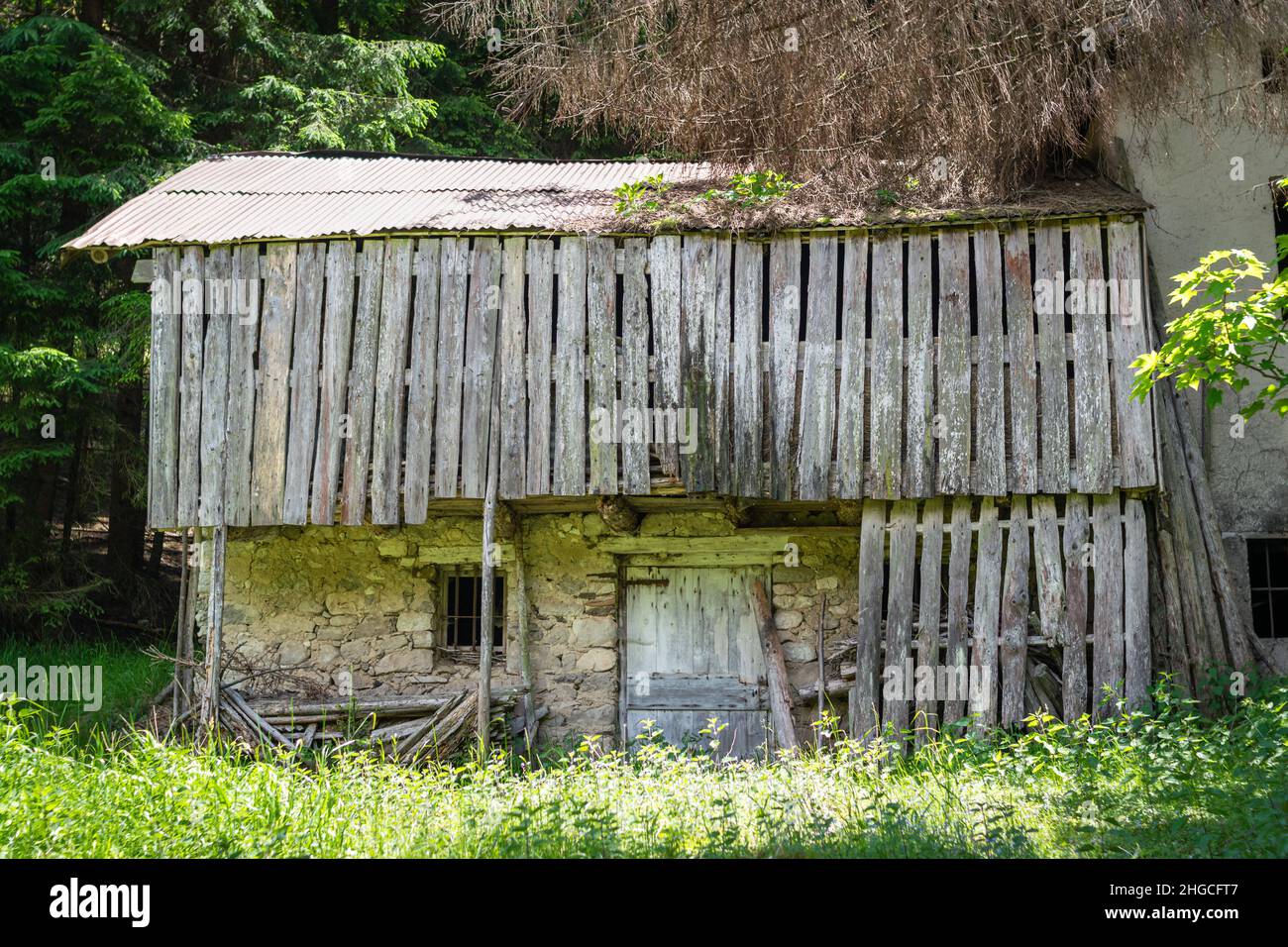 Altes verlassene Stein- und Holzhaus mitten im sonnigen Wald, Gosaldo, Belluno, Italien Stockfoto