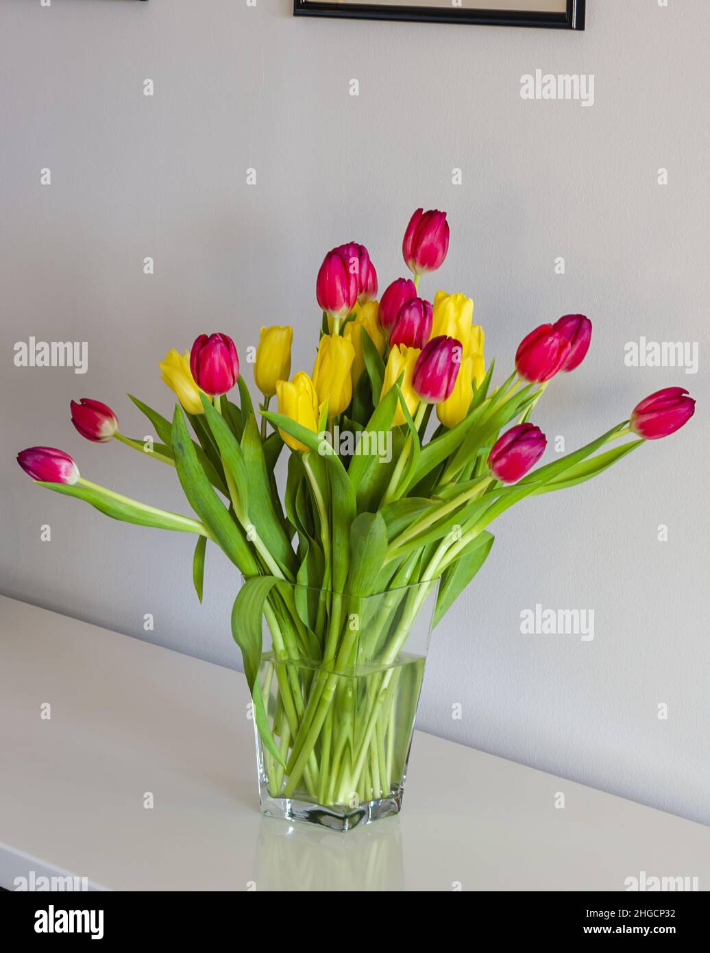 tulipani gialli e rossi in vaso di vetro sopra un tavolo bianco spazio copia Stockfoto