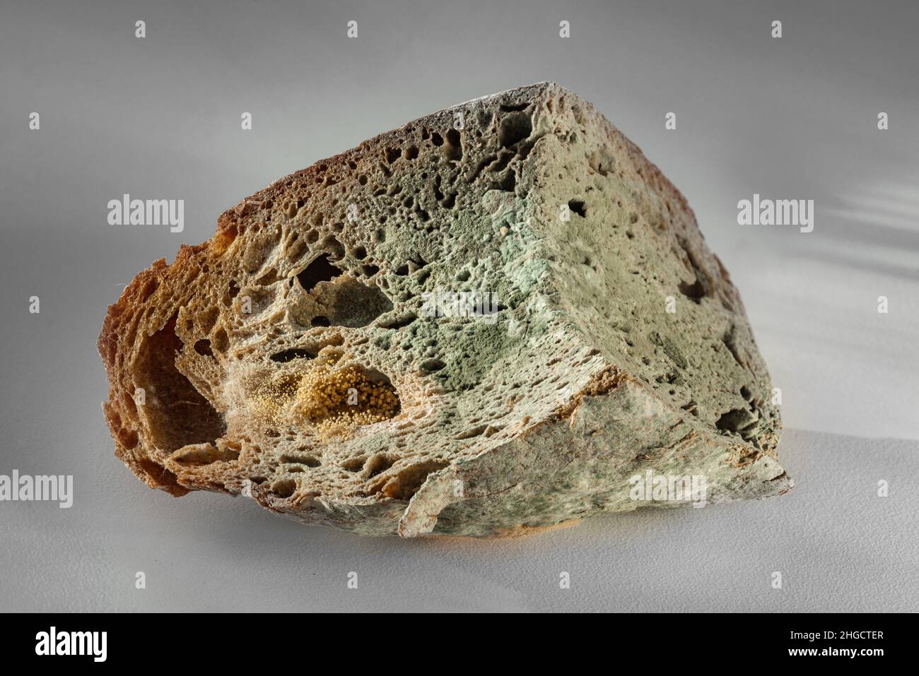 Der alte Schimmel auf dem Roggenbrot. Verdorbenes Essen grauer Hintergrund Stockfoto