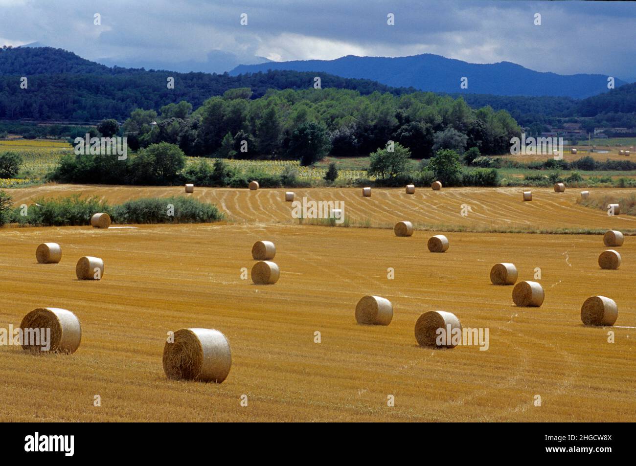 Spanien Catalogne ampurdan country Figueras Stockfoto