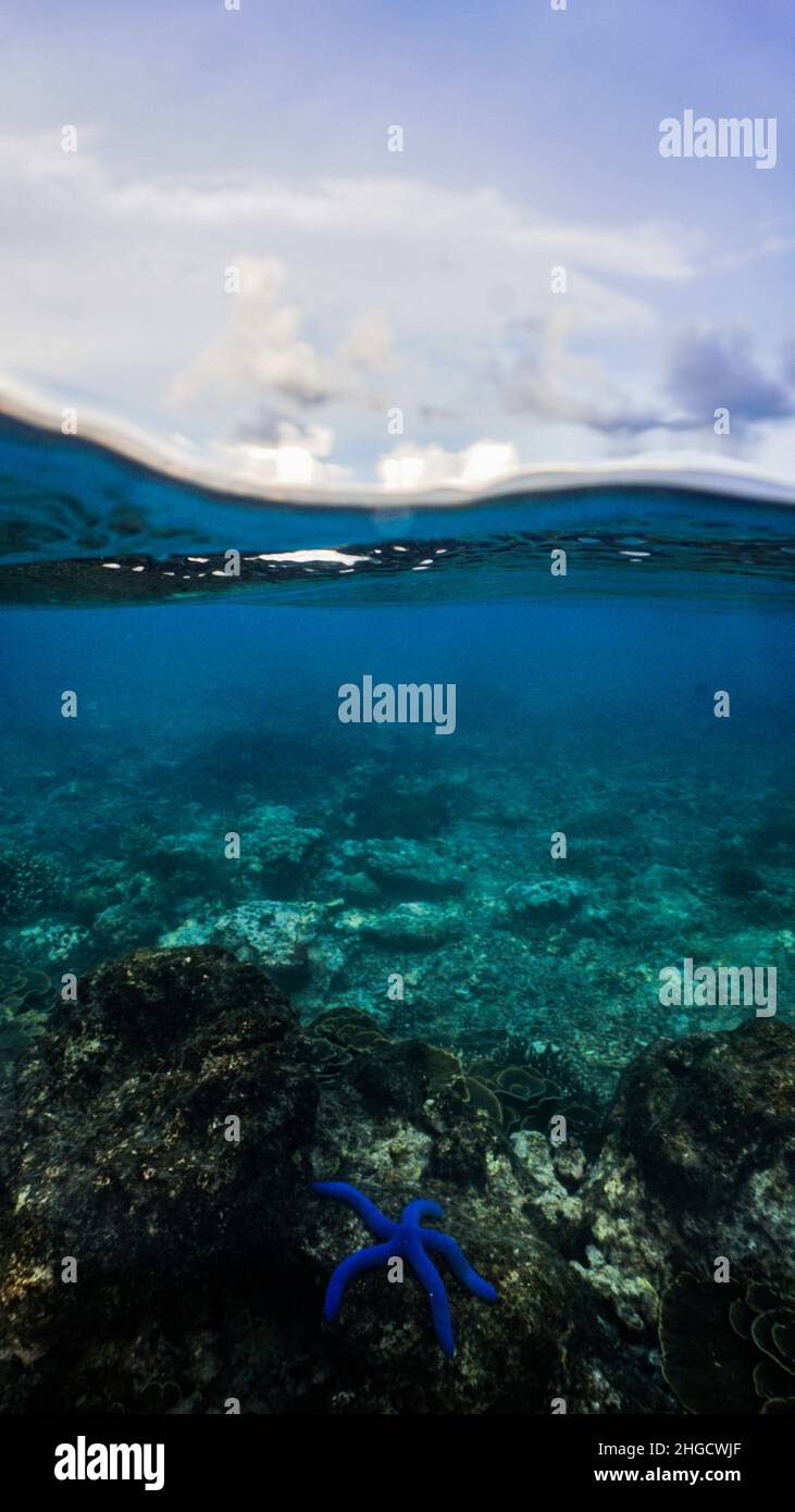 Zeigt das Riff unter den Wellen, Nusa Penida, Indonesien Stockfoto