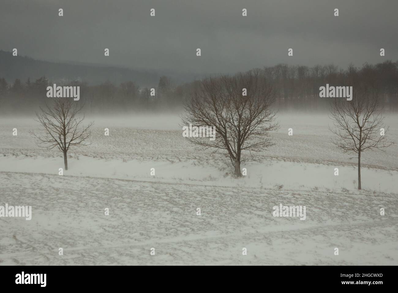 Elbingerode, Deutschland. 20th Januar 2022. Dunkle Wolken ziehen über den Oberharz. Sichtbehinderungen durch Schneeverwehungen befanden sich auf den Straßen im Oberharz. Aufgrund der vereisten Straßen mussten die Fahrer im Harz äußerst vorsichtig sein. Quelle: Matthias Bein/dpa-Zentralbild/ZB/dpa/Alamy Live News Stockfoto