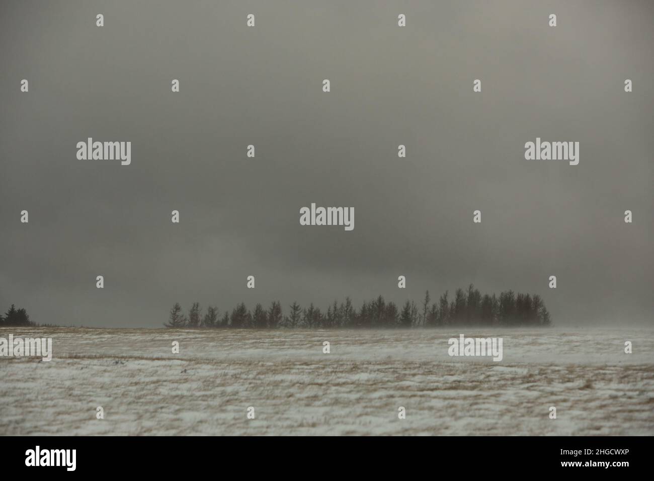 Elbingerode, Deutschland. 20th Januar 2022. Dunkle Wolken ziehen über den Oberharz. Sichtbehinderungen durch Schneeverwehungen befanden sich auf den Straßen im Oberharz. Aufgrund der vereisten Straßen mussten die Fahrer im Harz äußerst vorsichtig sein. Quelle: Matthias Bein/dpa-Zentralbild/ZB/dpa/Alamy Live News Stockfoto
