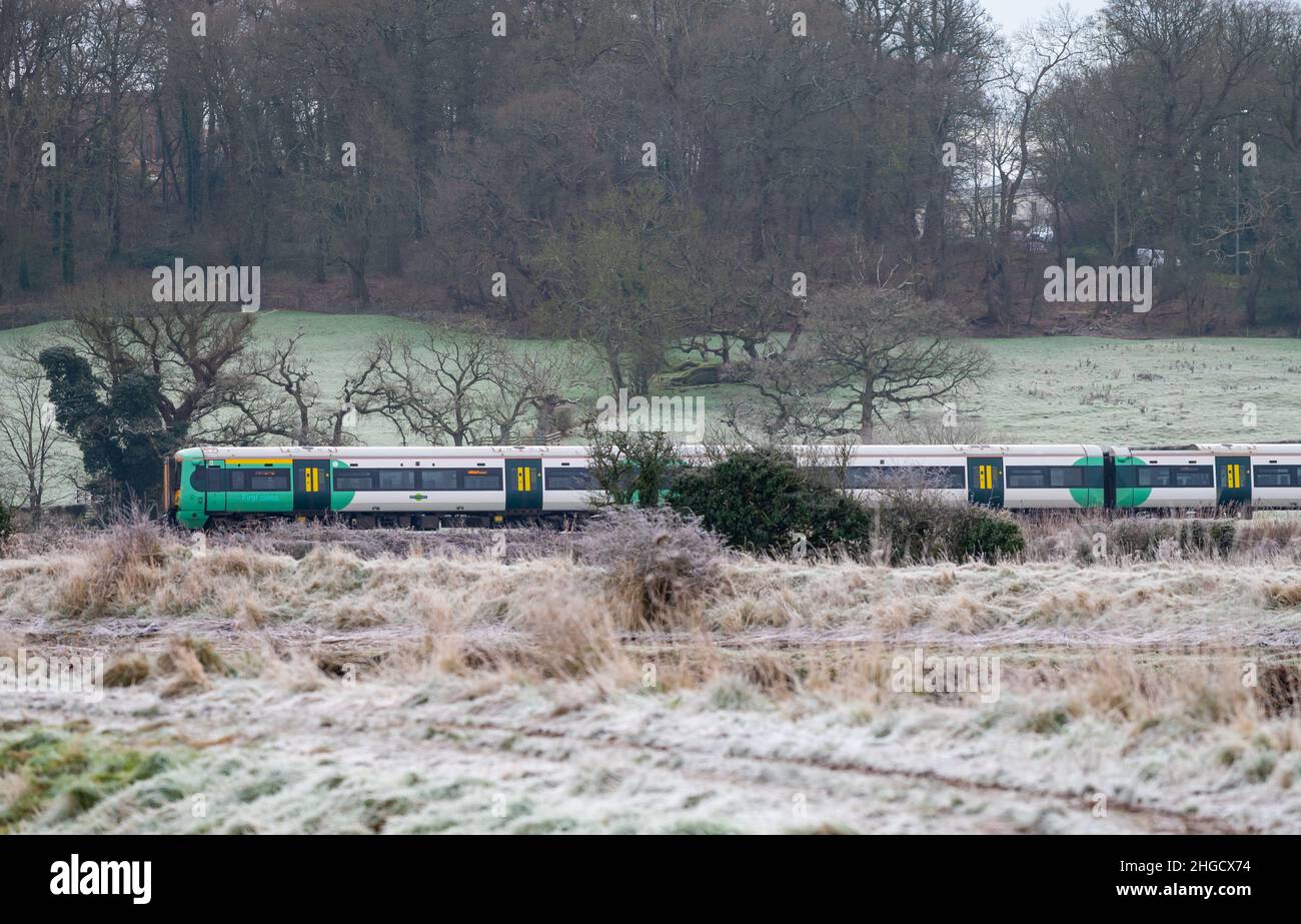 Am frühen Morgen pendeln Pendler im Zug der Southern Railway an einem kalten Wintermorgen durch frostbedeckte Felder in West Sussex, England, Großbritannien. Stockfoto