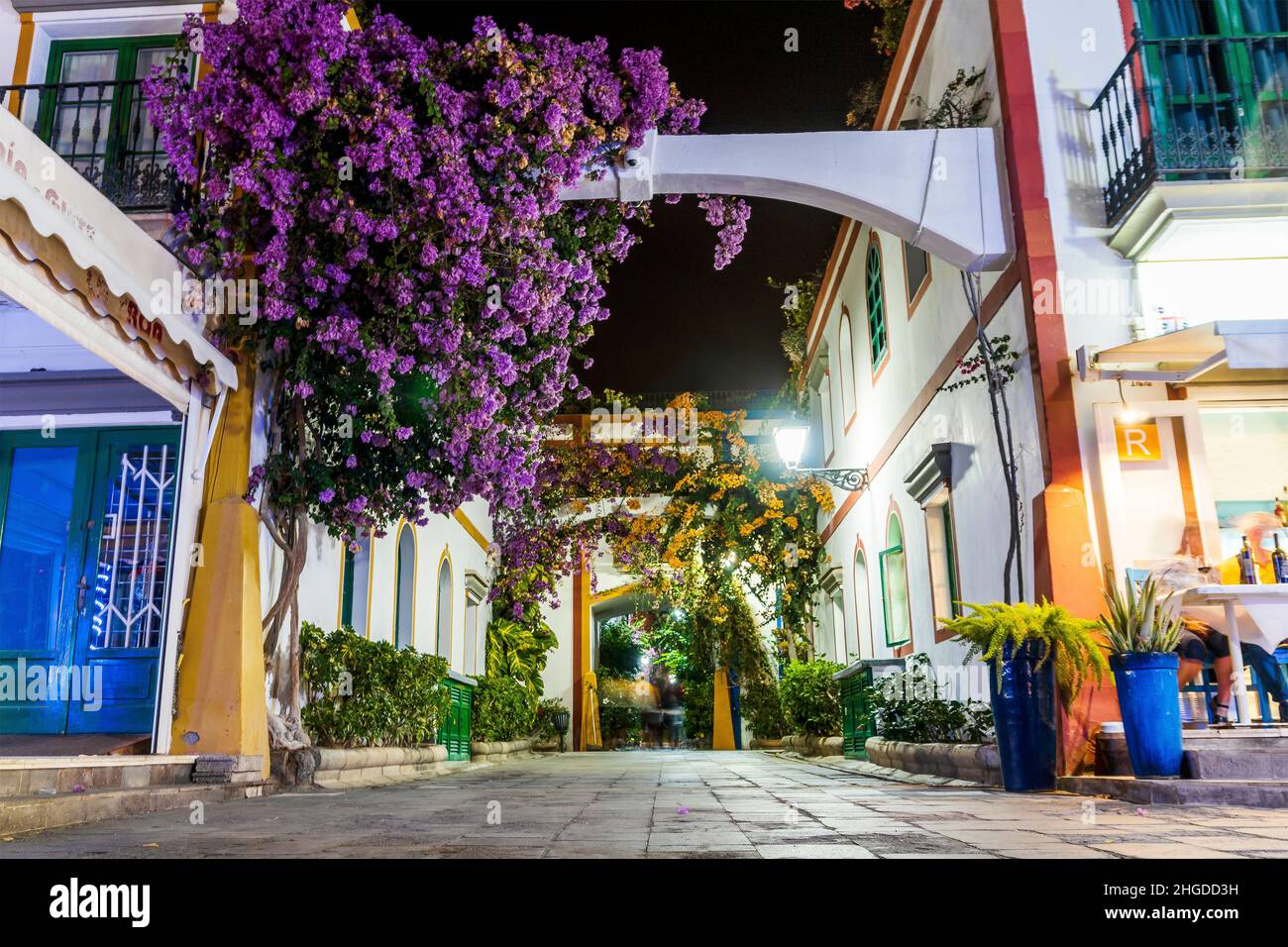 Charmante blühende Blumen in den engen Gassen von Puerto de Mogan, Gran Canaria, Spanien Stockfoto