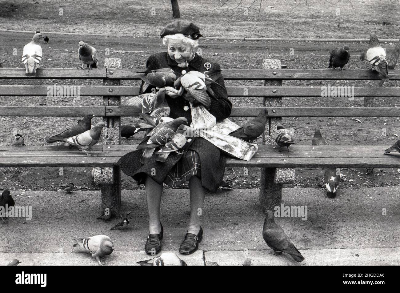 Eine ältere Frau füttert die Tauben im Central Park, Manhattan, New York City. Ca. 1975. Stockfoto