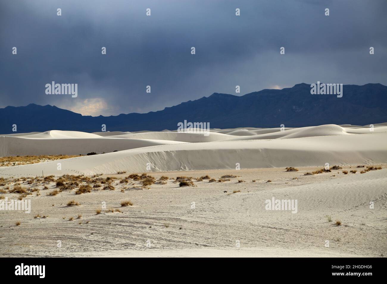 Weiße Dünen im Tularosa Basin - White Sands National Park, New Mexico Stockfoto