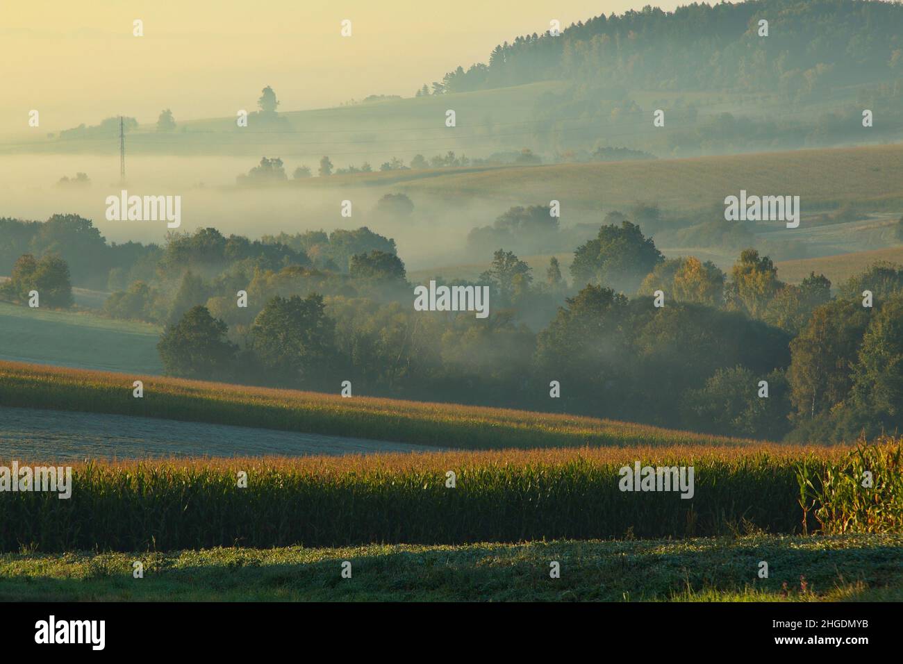 Nebliger Mornign auf den Feldern in Mittelböhmen, Tschechien, Europa, Mitteleuropa Stockfoto