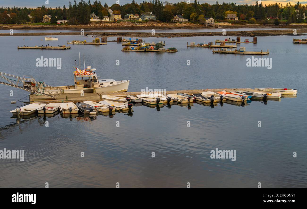 Ein Hummerboot wird am Pier im Hafen entladen, wo Motorboote an einem langen Pier anstehen Stockfoto