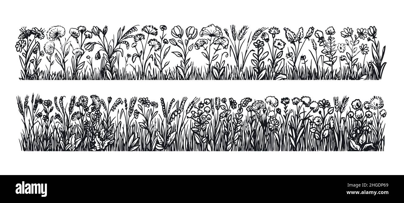 Blumenschmuck aus Wiesenblumen und Kräutern, Blumenschmuck. Wildblumen, Wildgras Skizze Vektor Illustration Stock Vektor