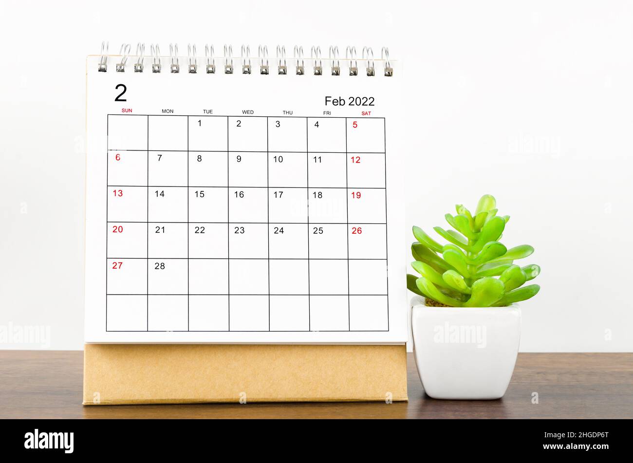 Februar 2022 Tischkalender mit Pflanzentopf auf Holztisch. Stockfoto